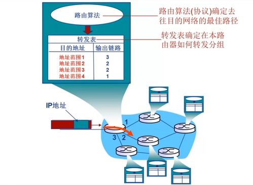 計算機(jī)網(wǎng)絡(luò)網(wǎng)絡(luò)層之路由算法概述